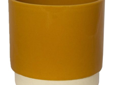 Eno Pot Mustard Discount