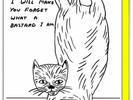 Bastard Cat David Shrigley Birthday Card Discount