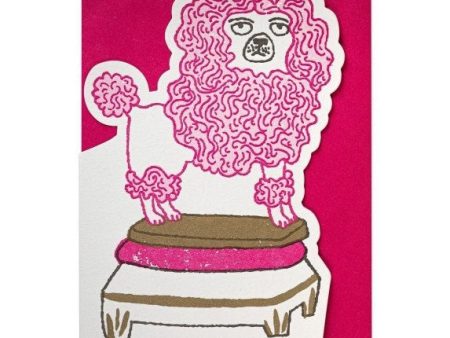 Poodle Dog Card For Sale