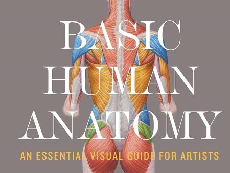 Basic Human Anatomy Sale