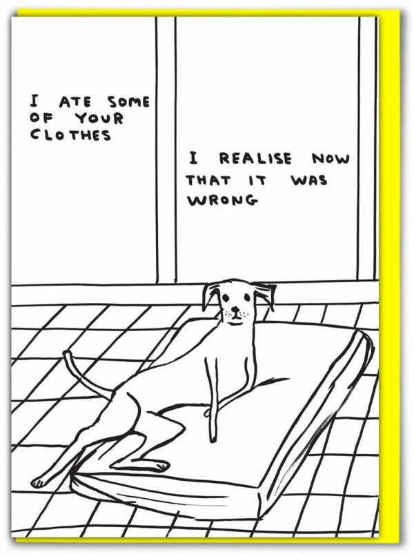 David Shrigley - Ate Your Clothes Card Discount