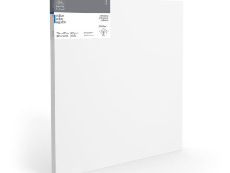 WN Professional Deep Edge Canvas Metric 100X100cm Online now