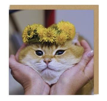 Cat Face Greetings Card Fashion