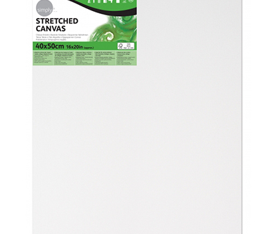 Dr Simply Stretched Canvas 40x50cm For Cheap