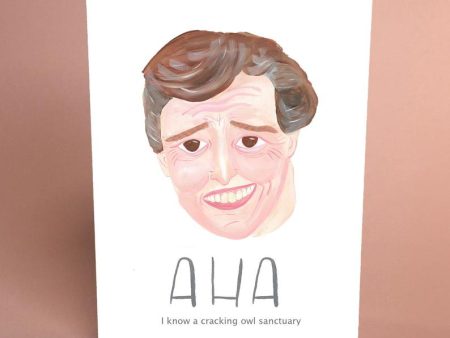 AHA Alan Partridge Card Discount